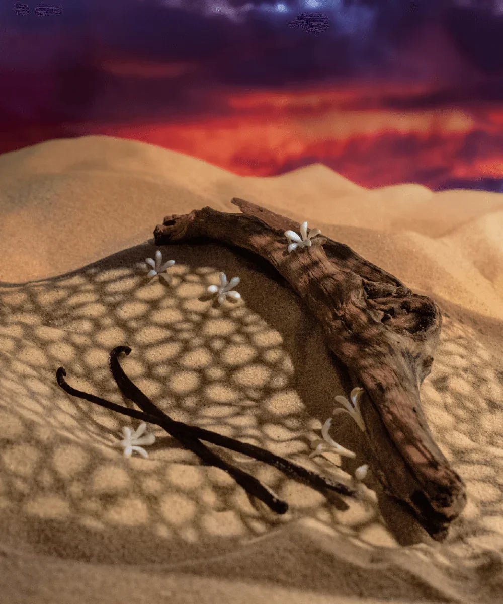 Djanet Sunset 100ml Extrait de Parfum - money shopping คุ้ม